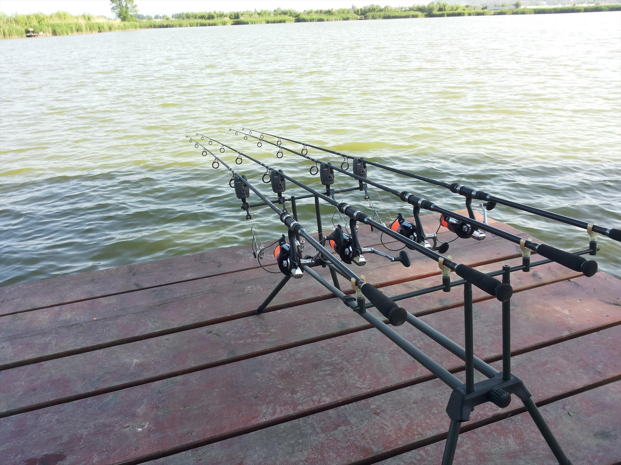 Pleasa 25-05-14 - 20140525083356.jpg